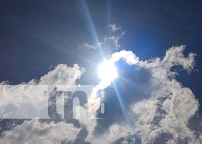 Foto: Ambiente caluroso y vientos para esta semana en Nicaragua / TN8 Foto: Ambiente caluroso y vientos para esta semana en Nicaragua / TN8