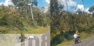 Foto: Motociclista al volante de manera irresponsable/cortesía