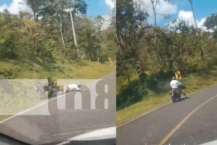 Foto: Motociclista al volante de manera irresponsable/cortesía Foto: Motociclista al volante de manera irresponsable/cortesía