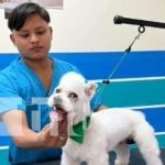 18 meses de prisión: el caso del homicidio de un veterinario en Granada Foto: Sentencian por crimen de homicidio en Granada / TN8