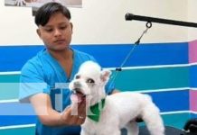 18 meses de prisión: el caso del homicidio de un veterinario en Granada Foto: Sentencian por crimen de homicidio en Granada / TN8