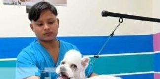 Foto: Sentencian por crimen de homicidio en Granada / TN8