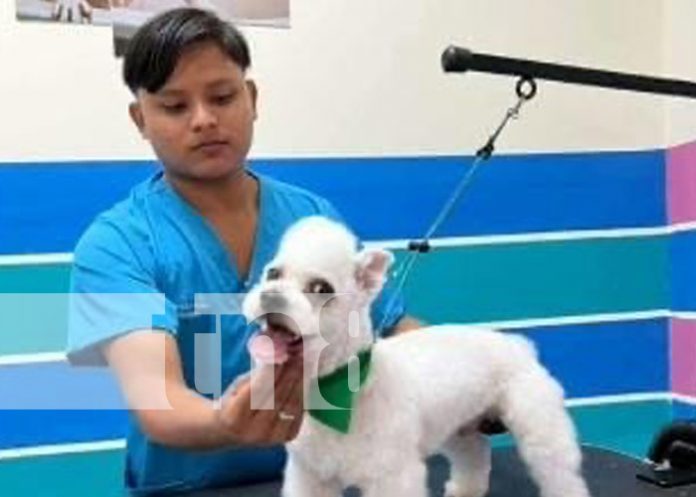 Foto: Sentencian por crimen de homicidio en Granada / TN8