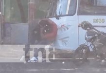 Puras bestias: Busero y motorizado a puños y patadas en Managua (VIDEO) Foto: Pleito de busero y motorista en un semáforo de Managua / TN8