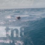 Tragedia en alta mar: Naufragio en Corn Island deja dos fallecidos y ocho desaparecidos Foto: Naufragio en Corn Island / TN8