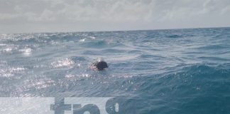 Foto: Naufragio en Corn Island / TN8