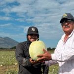 La sandía: una explosión de frescura y salud en cada mordida