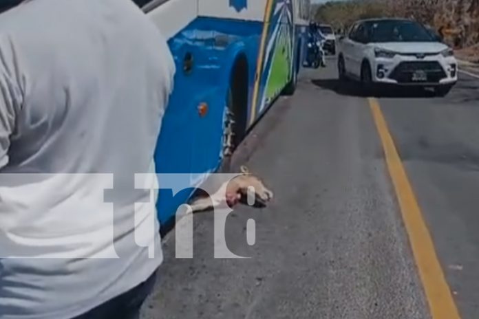 Foto: Fuertes accidentes en Rivas/TN8 Foto: Fuertes accidentes en Rivas/TN8