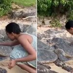 El video que pone a China Anne McClain en problemas Foto: China Anne McClain enfrenta crítica /cortesía