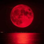 ¡No te lo podés perder! Eclipse Lunar Total pronto iluminará el Cielo Foto: Todo lo que necesita saber sobre la Luna de Sangre /Cortesía