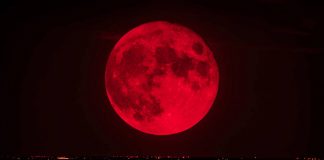 Foto: Todo lo que necesita saber sobre la Luna de Sangre /Cortesía