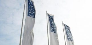 Foto: Rusia critica la "actitud política" de la OSCE /cortesía