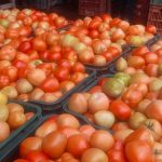 El tomate: una hortaliza esencial en la alimentación diaria