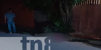 Foto: Un hombre muerto fue el saldo de un accidente de tránsito en Managua/TN8