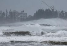 Foto: Ciclón Alfred causa apagón masivo en Australia/Cortesía