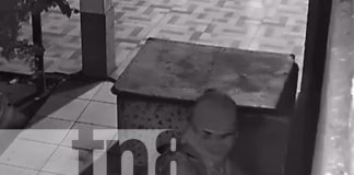 Foto: ¿Será el último Samuraí o solo un ladrón de Chinandega? / TN8