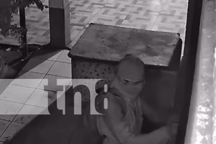 1 Foto: ¿Será el último Samuraí o solo un ladrón de Chinandega? / TN8