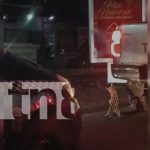 Tigrillo cuelga de una camioneta en Managua y causa indignación (Video)