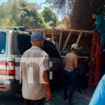 Camión que transportaba caballos en Granada se vuelca dejando varios lesionados Foto: Camión que transportaba caballos en Granada se vuelca dejando varios lesionados/TN8