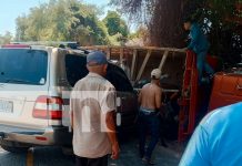 Camión que transportaba caballos en Granada se vuelca dejando varios lesionados Foto: Camión que transportaba caballos en Granada se vuelca dejando varios lesionados/TN8