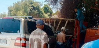 Foto: Camión que transportaba caballos en Granada se vuelca dejando varios lesionados/TN8