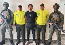 Detienen en Colombia a «Dollarino» principal capo de la mafia italiana Foto: Colombia ha logrado una importante captura/Cortesía