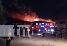 Fuego arrasa con bodegas de recicladora en Managua Foto:Pérdidas millonarias tras incendio en bodega de recicladora/TN8