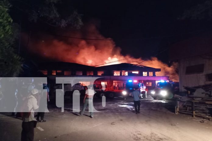 Foto:Pérdidas millonarias tras incendio en bodega de recicladora/TN8