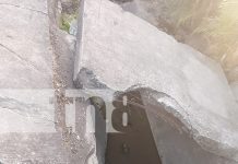 El alcohol y la irresponsabilidad dejan un fallecido y un lesionado en Malacatoya Foto: El alcohol y la irresponsabilidad dejan un fallecido y un lesionado en Malacatoya/TN8