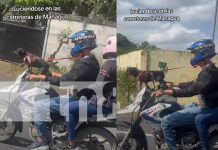 «No entenderían la vibra»: Perrito «volando» en una moto conquista las redes en Nicaragua Foto: Captado en carretera Managua-Masaya /TN8