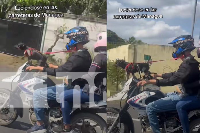 Foto: Captado en carretera Managua-Masaya /TN8 Foto: Captado en carretera Managua-Masaya /TN8