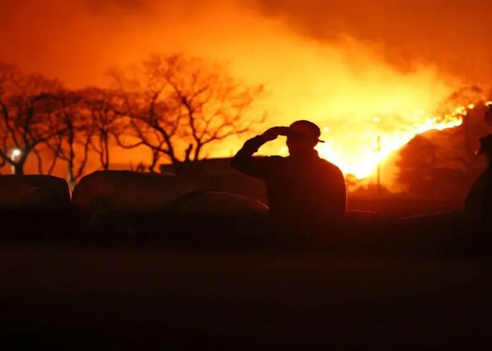 Foto: Incendios Imparables en Corea del Sur /cortesía Foto: Incendios Imparables en Corea del Sur /cortesía