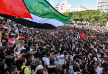 Foto: Palestina recibe respaldo /cortesía