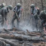 El saldo de muertos por incendios forestales en Corea del Sur asciende a 26 Foto: Incendios en Corea del Sur /cortesía