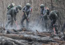 Foto: Incendios en Corea del Sur /cortesía
