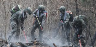 Foto: Incendios en Corea del Sur /cortesía