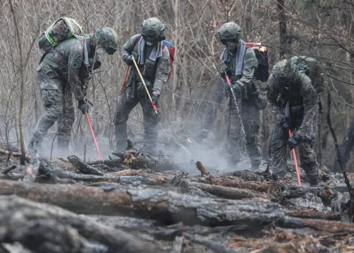 Foto: Incendios en Corea del Sur /cortesía