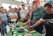 INTA impulsa el fortalecimiento tecnológico en Bancos Comunitarios de Semillas