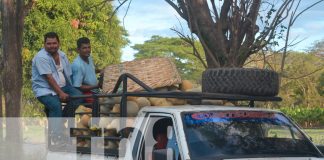 Foto: Agricultores de Tisma destacan la calidad de sus cosechas en mercados nacionales/TN8