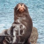 Foto: Presencia de autoridades en Rivas /TN8