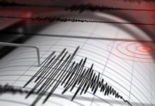 Alerta de tsunami: Terremoto de magnitud 7,1 sacude Tonga Foto: Caos en la tierra: Terremoto de magnitud 7,1 sacude Tonga /Cortesía