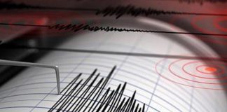 Foto: Caos en la tierra: Terremoto de magnitud 7,1 sacude Tonga /Cortesía