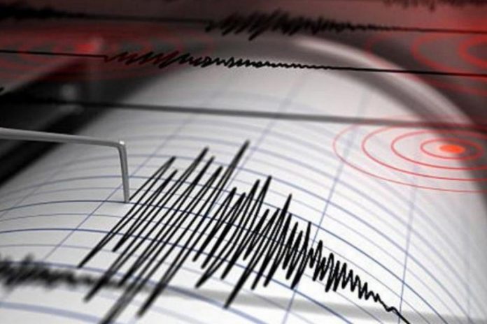 Foto: Caos en la tierra: Terremoto de magnitud 7,1 sacude Tonga /Cortesía