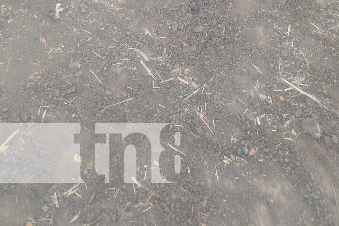 Foto: Joven obrero muere bajo las llantas de un bus en Chichigalpa, Chinandega/TN8