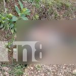Hombre pierde la vida tras caer de un guindo en Jalapa, Nueva Segovia Foto: Hombre pierde la vida tras caer de un guindo en Jalapa, Nueva Segovia/TN8