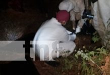 Cuerpo de ciudadano no identificado es hallado cerca del lago de Managua Foto: Cuerpo de ciudadano no identificado es hallado cerca del lago de Managua/TN8