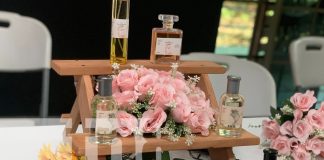 Foto: Emprendimiento brillan en la séptima feria de la UCN/TN8