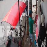 Descarado triciclero aprovecha descuido para robar en Chinandega (VIDEO) Foto: Hombre aprovecha descuido para robar en una tienda en Chinandega/TN8