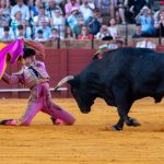 Ciudad de México hace historia: aprueban las “corridas de toros sin sangre” Foto: Ciudad de México aprueba las “corridas de toros sin sangre” /Cortesía