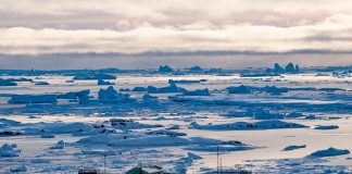 Foto: China es pionera en el uso de tecnología de energía de hidrógeno /Cortesía
